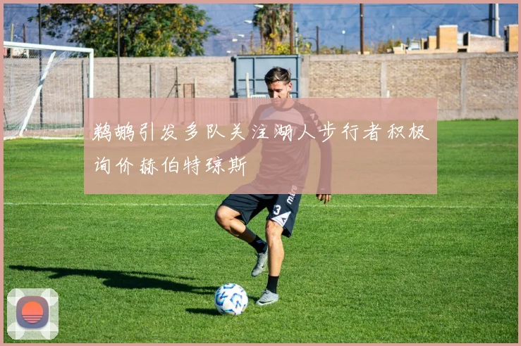 鹈鹕引发多队关注湖人步行者积极询价赫伯特琼斯