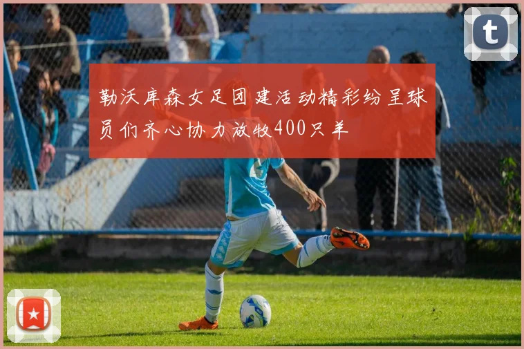 勒沃库森女足团建活动精彩纷呈球员们齐心协力放牧400只羊
